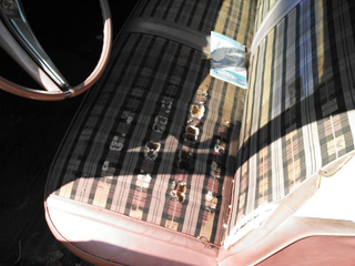 Illustration for article titled Samples arrived...